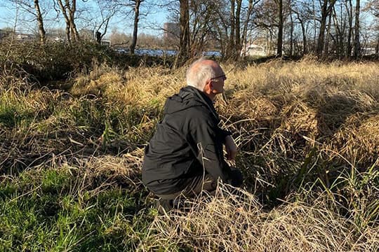 Het Nederlandse landschap 2