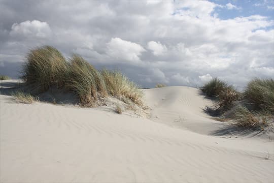 Het Nederlandse landschap 3