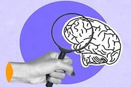 Studiedag Psychologie in 1 dag! 2
