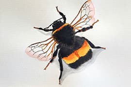 Hommel. Beeld: Brigitte Heslenfeld
