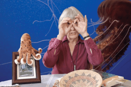 Donna Haraway (1944)