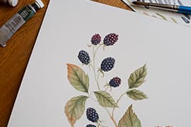 Workshop Botanisch illustreren in 1 dag 1