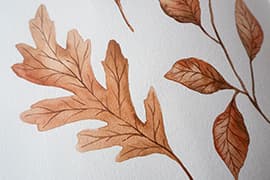 Workshop Botanisch illustreren in 1 dag 3