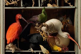 Beeld @ Art Zoo Museum