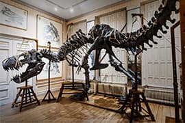 Beeld @ Art Zoo Museum
