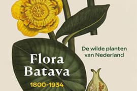 Hernieuwde uitgave van de Flora Batava door de Koninklijke Bibliotheek (KB) en uitgeverij Lannoo. Afbeelding: Flora Batava, de gele plomp, plaat 56 (1800), deel 1. Den Haag, KB, signatuur KW T 423 en KW T 423a