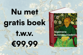 Colleges Introductie kunstgeschiedenis 1