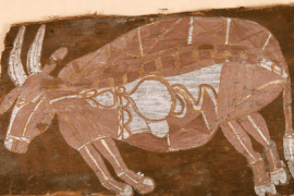 Aboriginal Art, x-ray stijl uit Arnhemland
