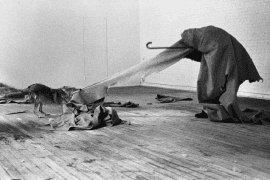 Joseph Beuys, I Like America and America Likes Me, 1974, performance, René Block Gallery
