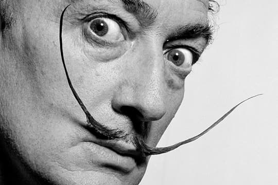 Foto van Salvador Dalí (1904-1989)