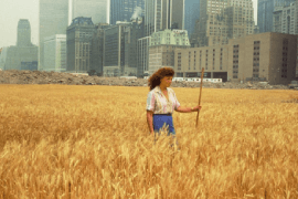 Agnes Denes, Wheatfield, 1982. Foto credit: Leslie Tonkonow Artworks + Projects.