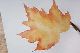 Workshop Botanisch illustreren in 1 dag 4